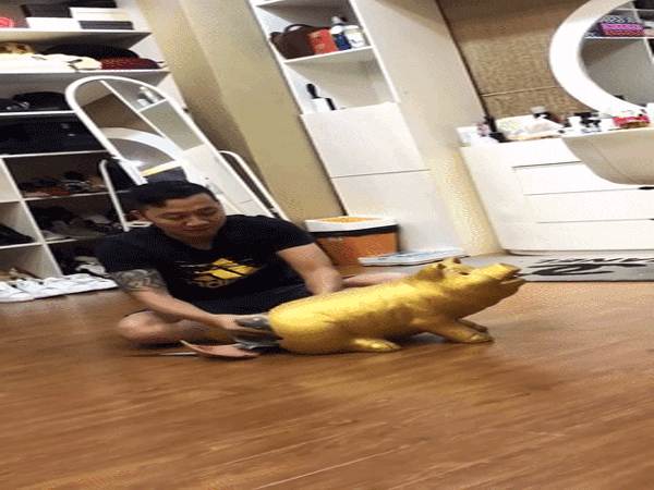 Anh chồng "đập heo" sau 4 năm, mang hơn 600 triệu đưa vợ đi châu Âu du lịch