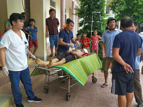Nhân viên thú y bị trâu húc tử vong khi tiêm phòng
