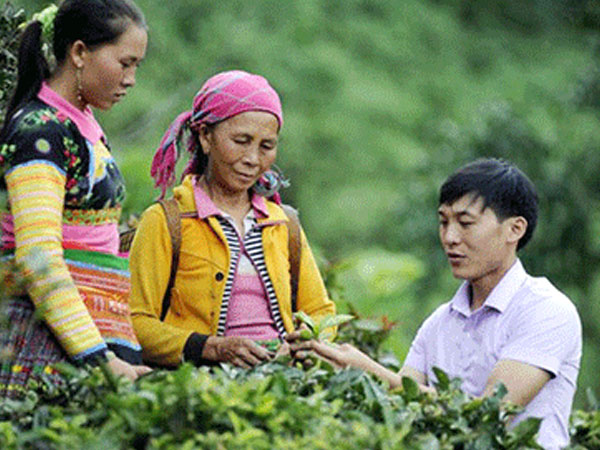 600 trí thức trẻ làm Phó chủ tịch xã: Không phải để "tráng men”