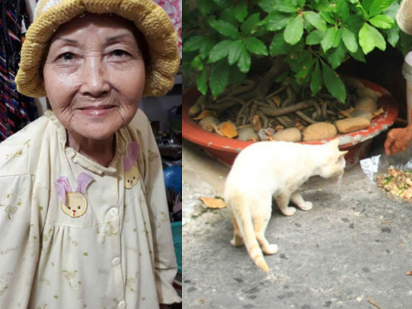 Cuộc đời buồn của cụ bà 80 tuổi đi ăn xin để chăm sóc chó, mèo hoang