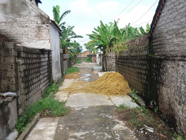 Nghi án giết con trai 2 tuổi rồi uống thuốc sâu tự tử: Người mẹ đã tử vong