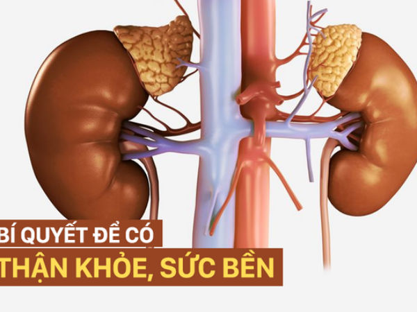 Giải pháp bảo vệ và chăm sóc thận: Cách làm đơn giản, kết quả khả quan!