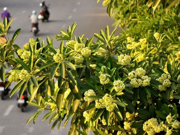 Không khí lạnh hoạt động mạnh dần trong tháng 9