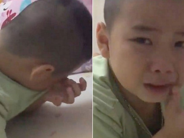 Cậu bé khóc lóc phản đối cái kết NPX: Đã tìm ra fan chân chính của Phan Quân!