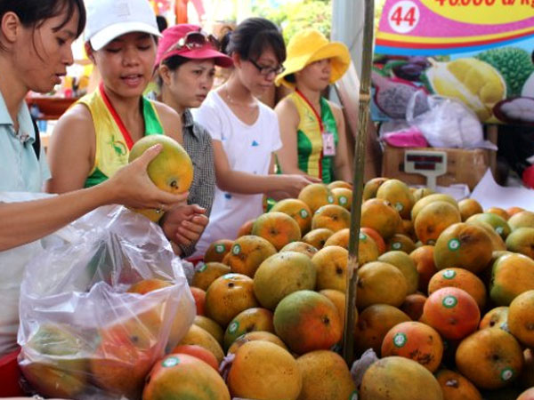 Trung Quốc gom mua 3/4 lượng rau quả Việt Nam