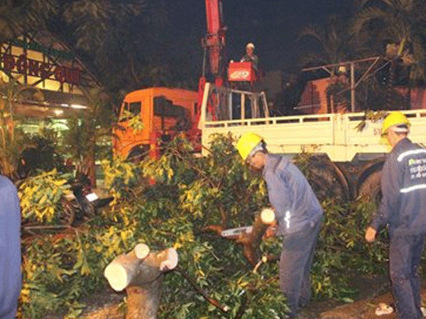 Cây xanh bật gốc đè 4 ngôi nhà, 5 người may mắn thoát chết