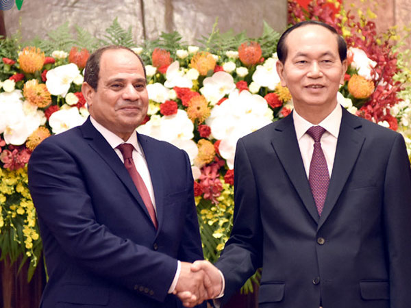 Chủ tịch nước Trần Đại Quang hội đàm với Tổng thống Ai Cập