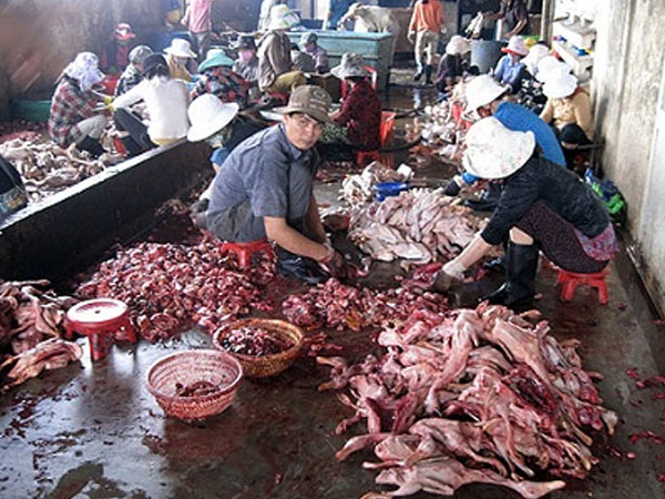 Kinh doanh thực phẩm bẩn có thể bị phạt đến 200 triệu đồng