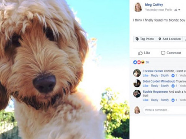 Vì sao ảnh đại diện của Facebook đổi sang dạng tròn?