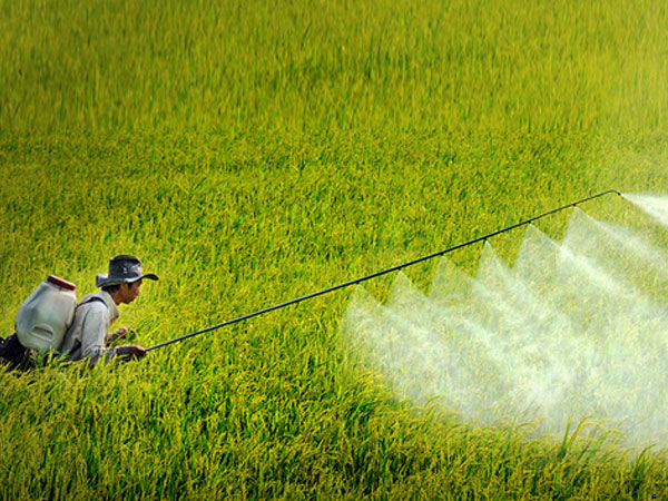 Mất kiểm soát thuốc trừ sâu