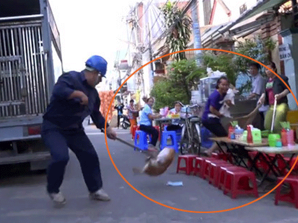 Dân mạng tranh cãi kịch liệt về clip thòng dây bắt chó thả rông tại Sài Gòn