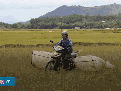Video: Săn đặc sản "tôm bay" kiếm tiền triệu mỗi ngày