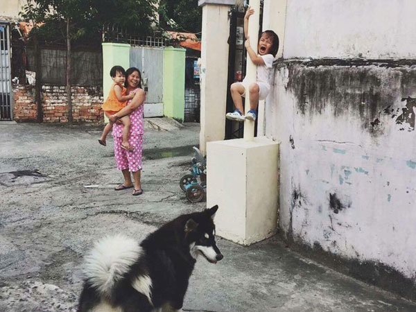 Cô bé la khóc, trèo lên cột vì sợ chó: Khoảnh khắc "gây bão" mạng xã hội Việt