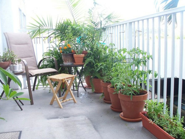 Muốn trồng cây ở ban công vừa đẹp vừa hút tài lộc, phải biết những điều này