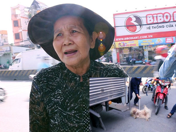 Chó cưng bị Đội săn bắt "tóm", cụ bà hớt hải: "Nó đi chợ với tôi, đang nằm trên vỉa hè chờ tôi về cùng thì bị bắt"