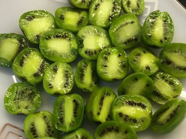 Nhìn đã chảy nước miếng, chị em tranh mua kiwi tí hon 1 triệu/kg