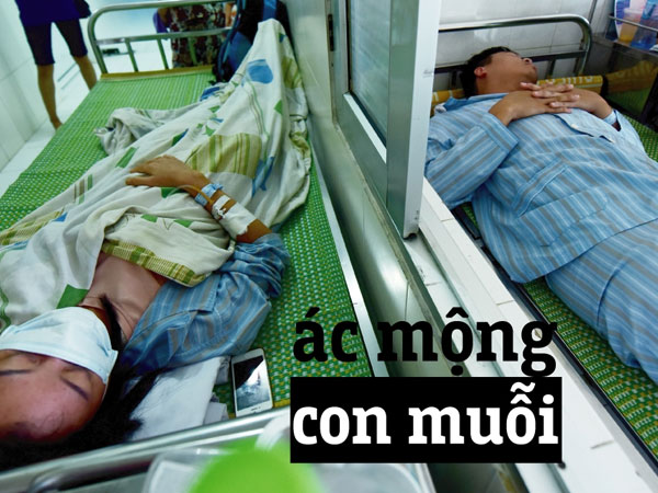 Ác mộng "muỗi" của người Hà Nội