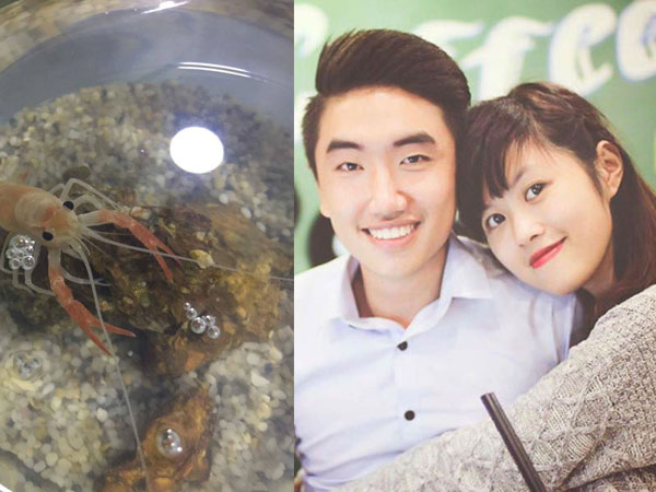 Khi thú cưng của vợ chồng ở chung nhà: Tôm chồng nuôi "xơi tái" cá vàng của vợ, vợ nổi giận dọa đem nấu bột