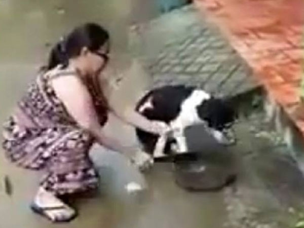 Clip nóng nhất ngày: Phẫn nộ người phụ nữ dùng dao chặt chân chú chó dã man