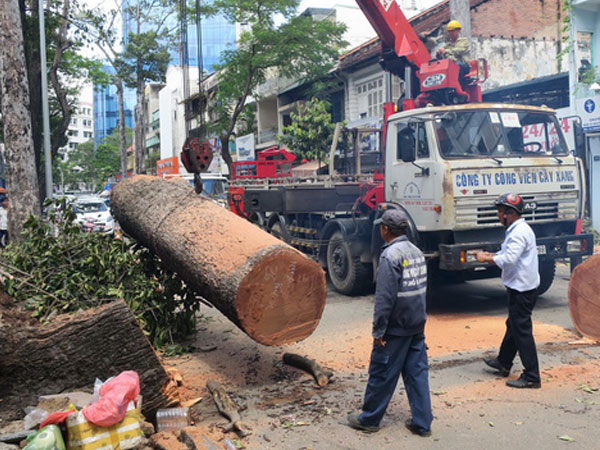 Mưa đêm, sấm chớp nhiều có bất thường?