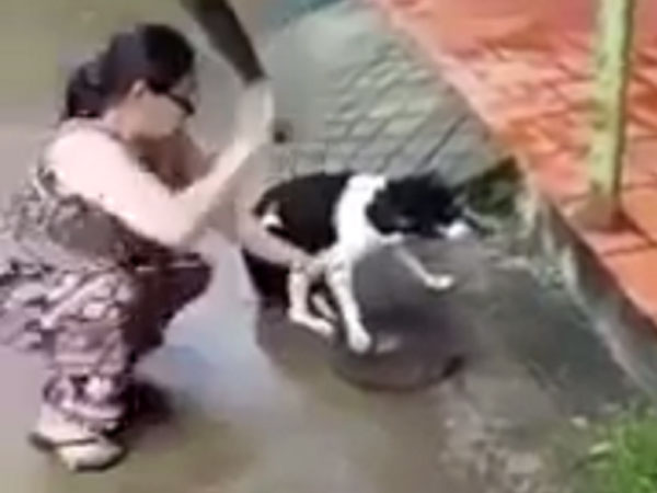 Người phụ nữ dùng dao chặt chân chú chó dã man lên tiếng: "Tôi chặt chân để bảo vệ nó"