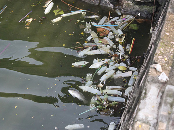 Hồ Tây tràn ngập... bao cao su sau cơn mưa lớn