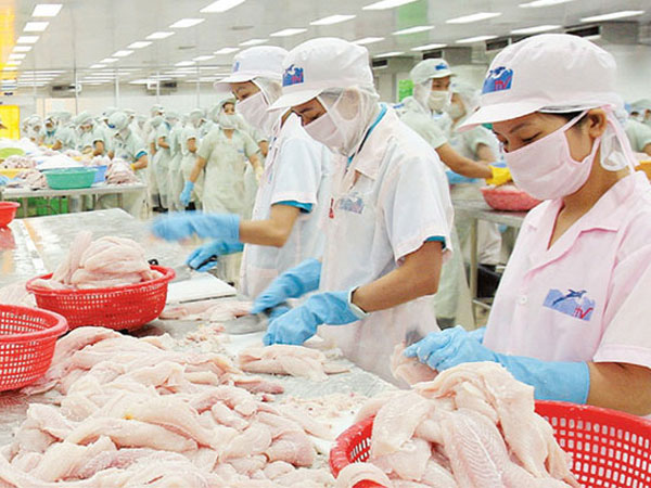 Mỹ lại tung thêm "đòn" để triệt đường cá tra Việt