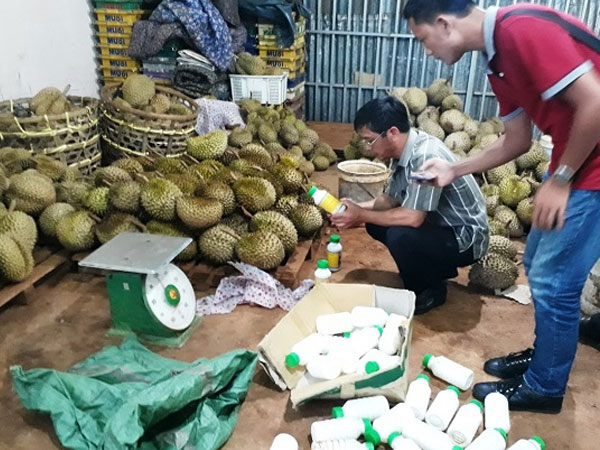 Nhúng hóa chất ép chín 200 quả sầu riêng, bị phạt 20 triệu