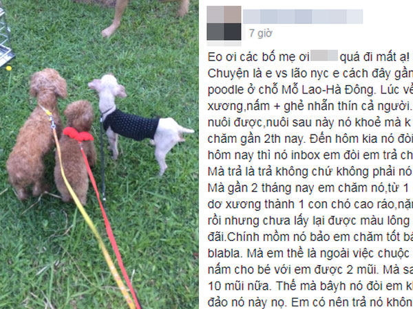 Cô gái tức giận tố người yêu chia tay đòi... trả chó hoặc đưa 2 triệu, chàng trai nói gì?