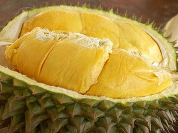 Hãi hùng sầu riêng tẩm hóa chất và những hậu quả đáng sợ do ăn quá nhiều