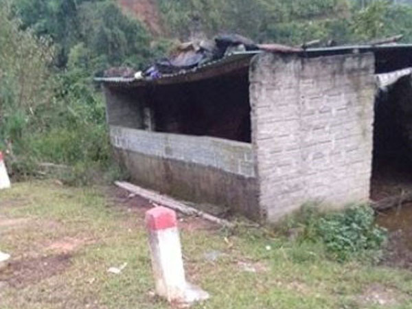 Trộm cả đàn trâu trong đêm