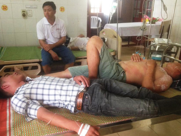 Nghệ An: Chọc tổ ong, 20 người nhập viện
