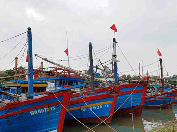 Ảnh bìa bài viết 488379