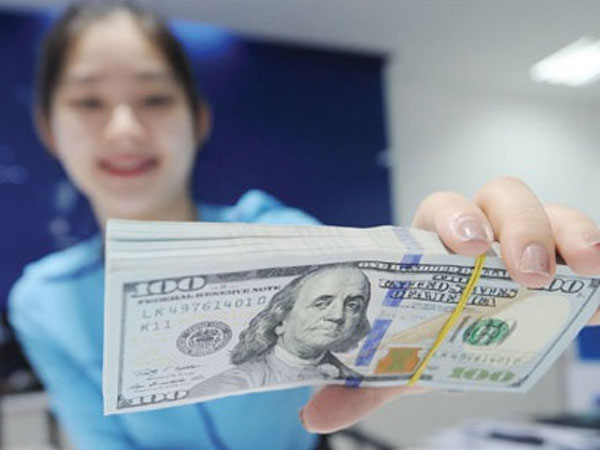 Ngân hàng Nhà nước bất ngờ hạ giá mua USD