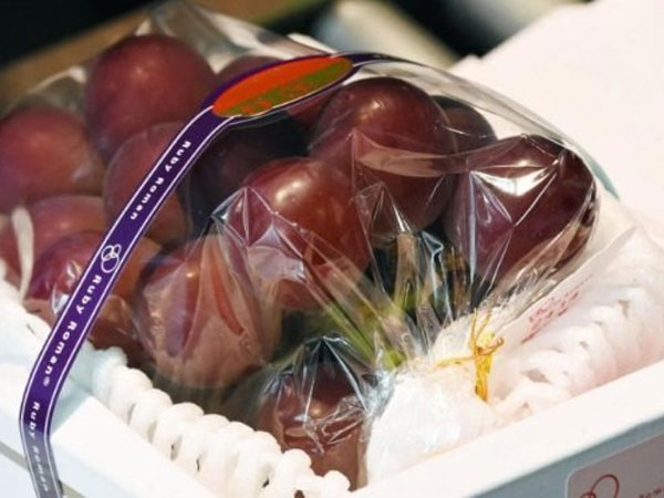 Trái cây đắt như vàng ròng ở Nhật Bản bán đầy Việt Nam
