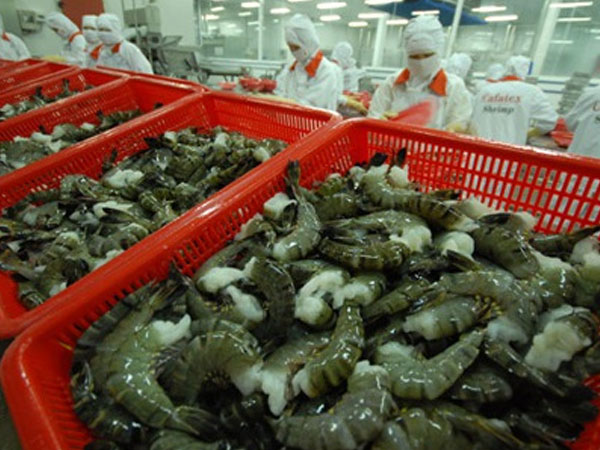 Nơm nớp lo hải sản bị “thẻ vàng” ở EU