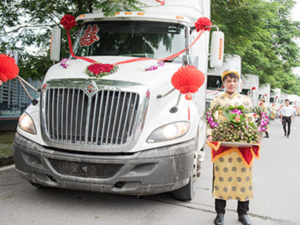 Mang sính lễ đến nhà gái ở Hải Phòng bằng dàn xe đầu kéo 10 tỷ đồng