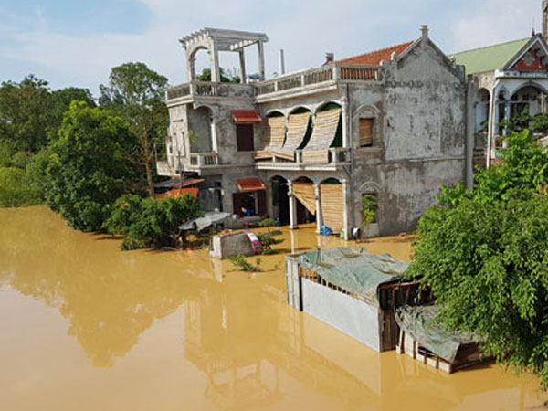 "Nước tràn đê quá nhanh, chúng tôi mất trắng rồi"