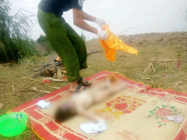 Ảnh bìa bài viết 489573