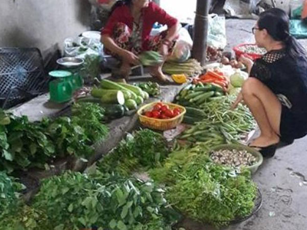 Thanh Hóa: Rau tăng giá gấp đôi vẫn không có hàng để bán