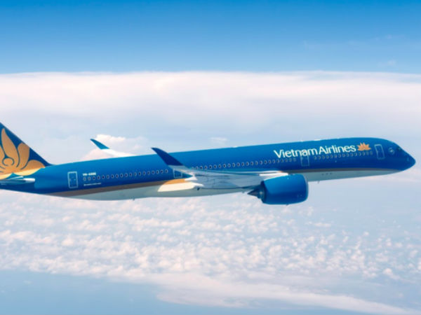 Máy bay Vietnam Airlines đi Pháp phải hạ cánh khẩn cấp tại Ấn Độ