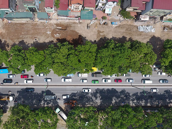 Hà Nội di chuyển, chặt hạ gần 1.300 cây xanh vào ngày mai