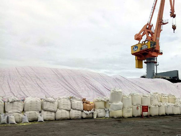 Di dời khẩn 4 vạn tấn lưu huỳnh lộ thiên khỏi cảng Hải Phòng