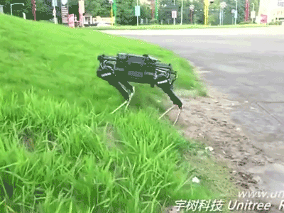 Chó robot Trung Quốc giá 30.000 USD mỗi con
