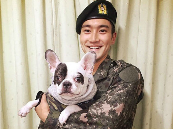 Ca sĩ Si Won (Super Junior) xin lỗi vì để chó cưng cắn chết người