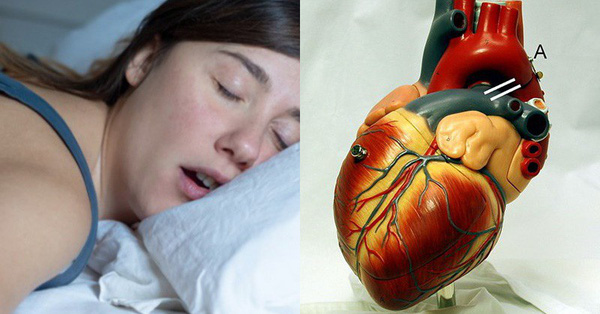 12 dấu hiệu tưởng bình thường nhưng cảnh báo bệnh tim mạch, bỏ qua là tự đưa mình đến cửa tử
