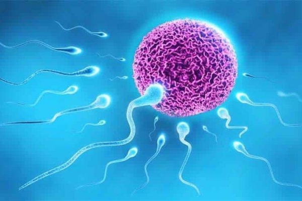 Nam giới tinh trùng yếu có thụ thai và có con tự nhiên được không?