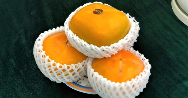 Bị 'hét giá' 400.000 đồng/quả, hồng Nhật Bản vẫn đắt hàng ngày Trung thu