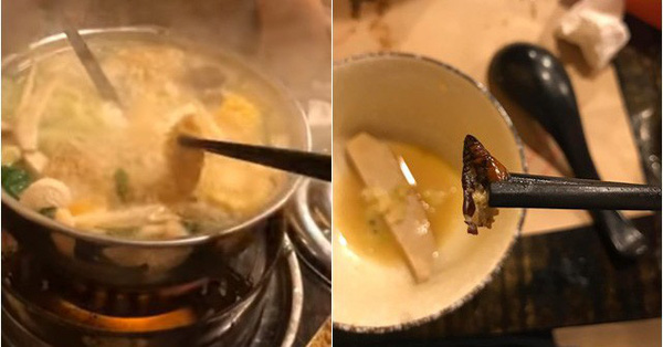 Cắn phải 'con gián béo ngậy' trong nồi lẩu ở nhà hàng Nhật, cô gái hãi hùng đăng đàn nhưng dân mạng có thái độ bất ngờ