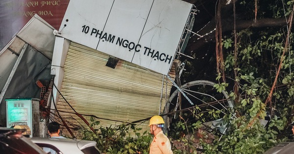 Hà Nội: Cây cổ thụ đè sập 2 cửa hàng thời trang trên phố Phạm Ngọc Thạch, người dân la hét thất thanh